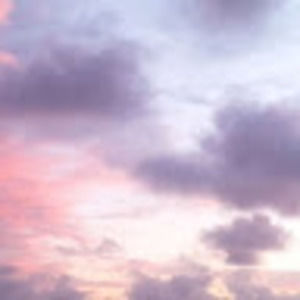 Meet your Posher, Rowan